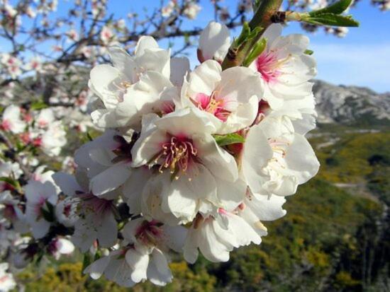 Villa La Cigale, Maussane Les Alpilles Eksteriør bilde